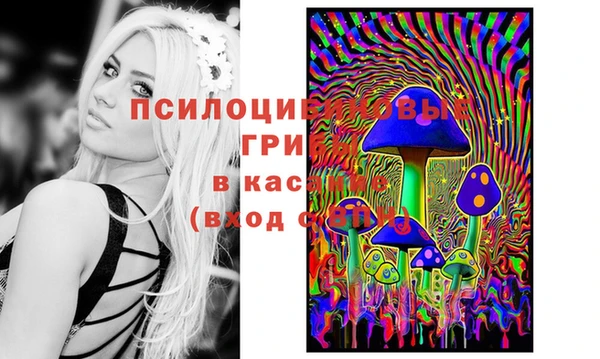 синтетический гашиш Армянск