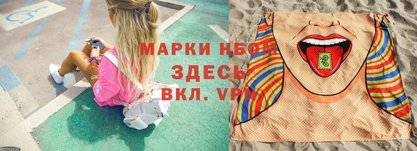 ешки Аркадак
