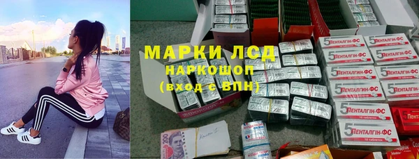 ешки Аркадак