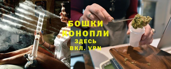 ешки Аркадак